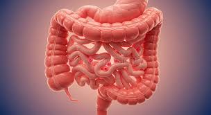 CT Colonography Live Course